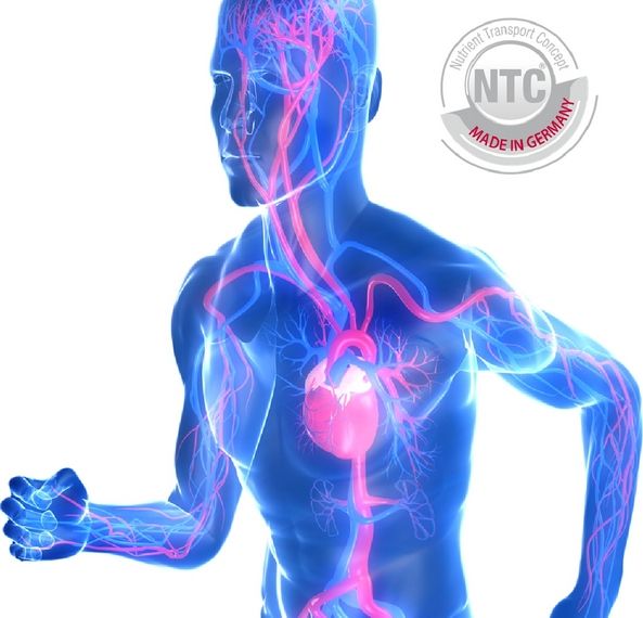 Клеточное питание FitLine